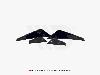 Maxton Design Canards - Fiesta Mk8 - view 4