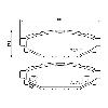 Mintex Racing Rear Brake Pads - Toyota GT86 / GR86 - pad shape drawing