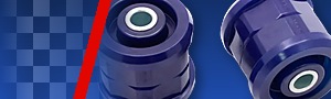 Bushes - Suspension Image