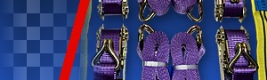 Straps Image
