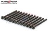 OE Spec Cylinder Head Bolts Focus ST225 and RS Mk2