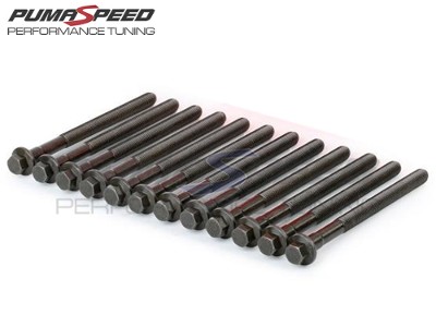 OE Spec Cylinder Head Bolts Focus ST225 and RS Mk2