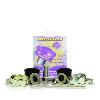 Powerflex PFF5-401G Road Series Caster Adjust - Front Radius Arm To Chassis Bush