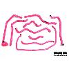 Pro Hoses Ancillary Hose Kit for Focus ST170