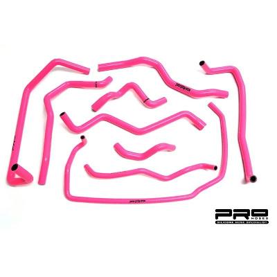 Pro Hoses Ancillary Hose Kit for Focus ST170