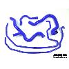 Pro Hoses Coolant Hose Kit for Focus RS Mk2 - view 2