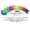 Pro Hoses Header Tank Hoses for Mk2 Focus ST & RS - view 3