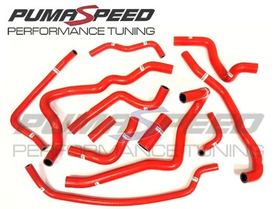 Pumaspeed Ancillary Hose Kit - Fiesta ST Mk8