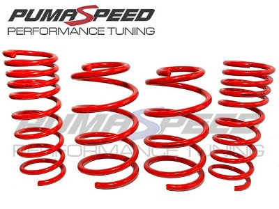 Pumaspeed Racing Lowering Springs GR Yaris