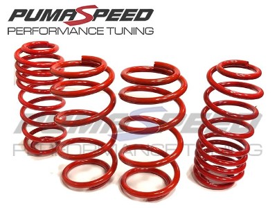 Pumaspeed Stance Lowering Springs Fiesta Mk8 1.0