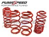 Pumaspeed Stance Lowering Springs Puma 1.0