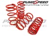 Pumaspeed Stance Lowering Springs Puma 1.0