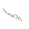 Scorpion Transporter T5 / Transporter T6 / T6.1 Cat/DPF-back system - view 2