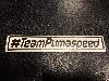 #TeamPumaspeed - Stickers Pair (x2) 95mm x 32mm