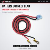 Battery lead